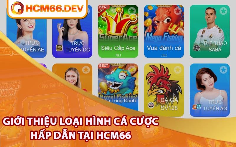 Giới thiệu loại hình cá cược hấp dẫn tại HCM66